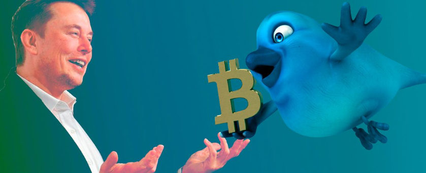 「imtoken客户端钱包」伊隆马斯克以反诉打击推特,升级冲突 「imtoken客户端钱包」伊隆马斯克以反诉打击推特,升级冲突