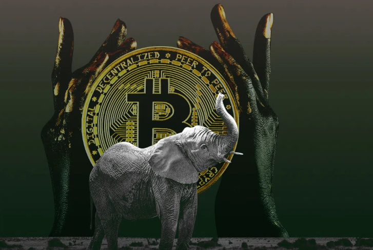 「imToken官方安卓版」加密公司筹集资金购买刚果民主共和国的石油和天然气勘探区块 「imToken官方安卓版」加密公司筹集资金购买刚果民主共和国的石油和天然气勘探区块